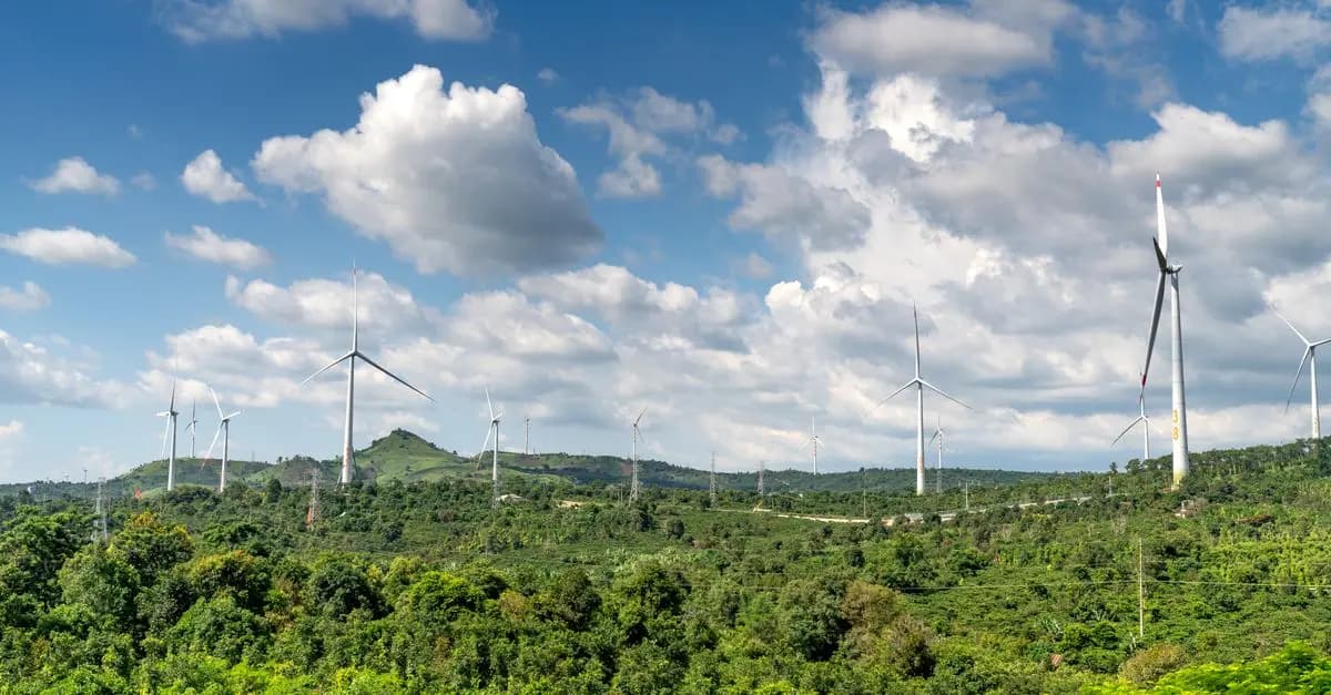 Cómo reducir tu huella de carbono: consejos sencillos
