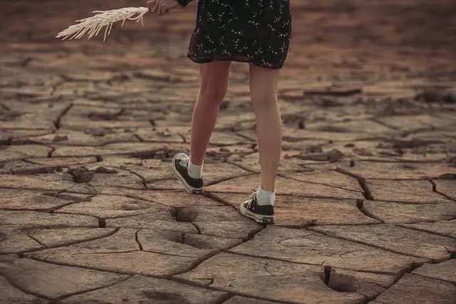 Cómo comprender el cambio climático y su impacto