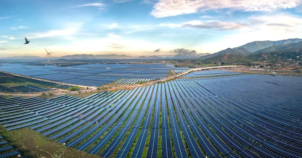 Todo lo que necesitas saber sobre las energías renovables